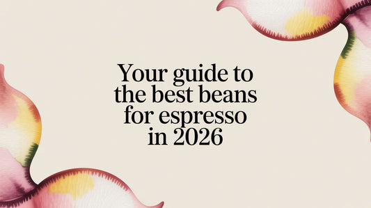 Your Guide to the Best Beans for Espresso in 2026