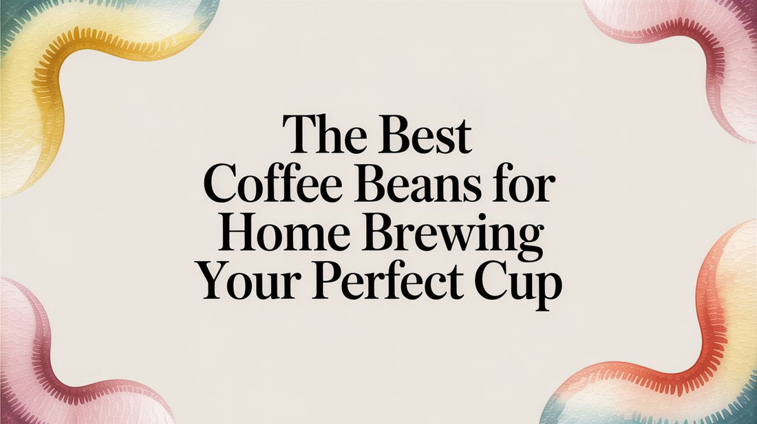 Beans Without Borders: Finding the Best Coffee Beans to Unite Your Senses in 2026