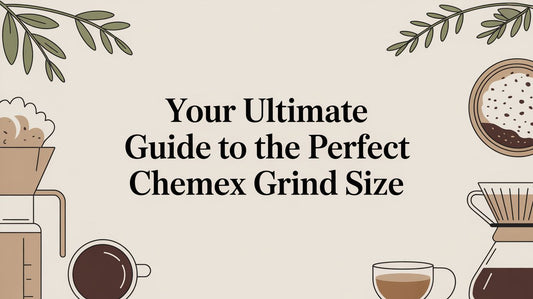 Your Ultimate Guide to the Perfect Chemex Grind Size