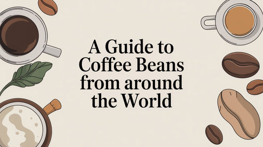 A Guide to Coffee Beans From Around the World