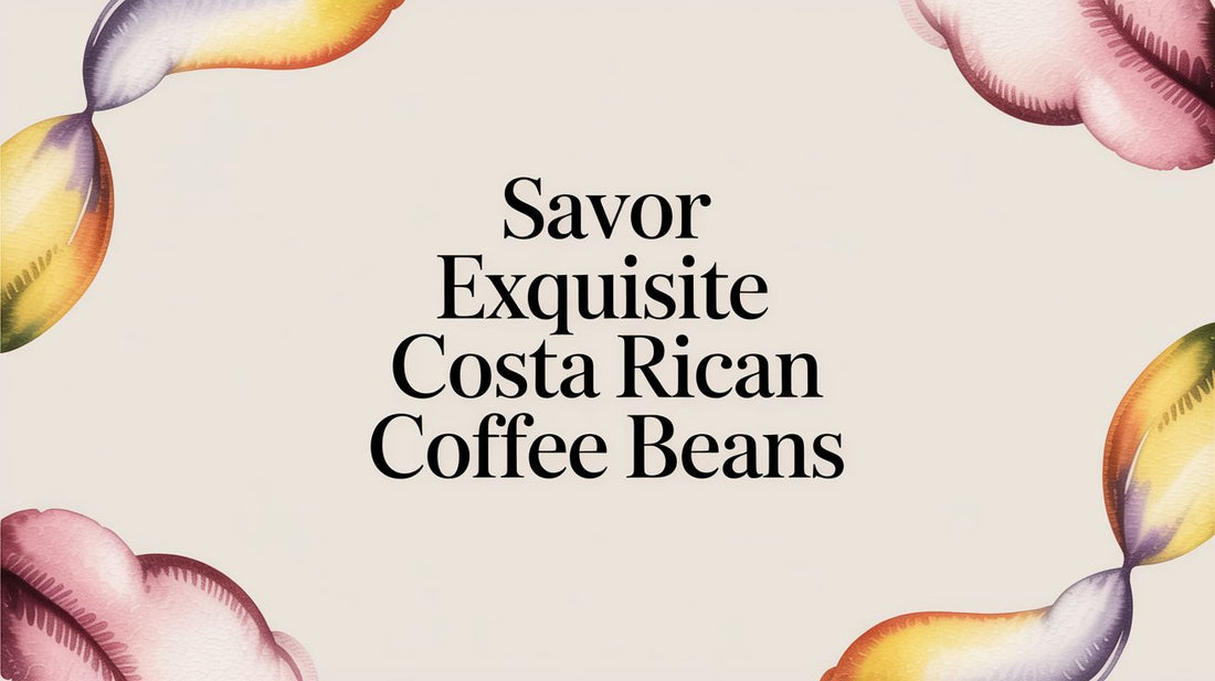 A Unifying Brew: Your Guide to Costa Rican Coffee Beans