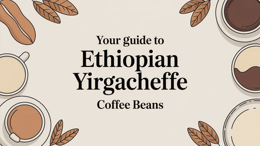 Your Guide to Ethiopian Yirgacheffe Coffee Beans