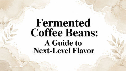 Fermented Coffee Beans: A Guide to Next-Level Flavor