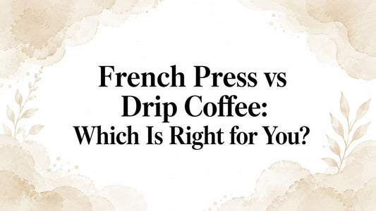 French Press vs Drip Coffee: Which Is Right for You?