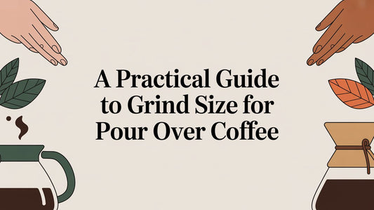 A Practical Guide to Grind Size for Pour Over Coffee