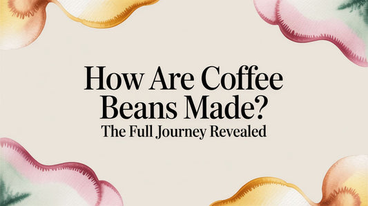 How Are Coffee Beans Made? The Full Journey Revealed