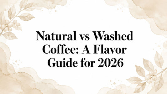 Natural vs Washed Coffee: A Flavor Guide for 2026