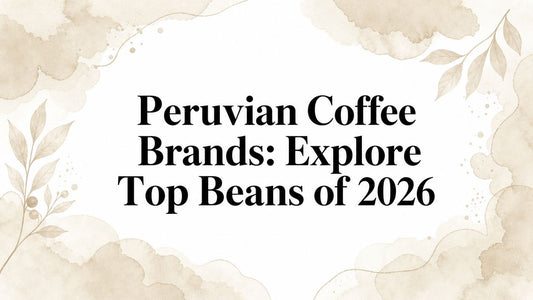 Peruvian Coffee Brands: Explore Top Beans of 2026