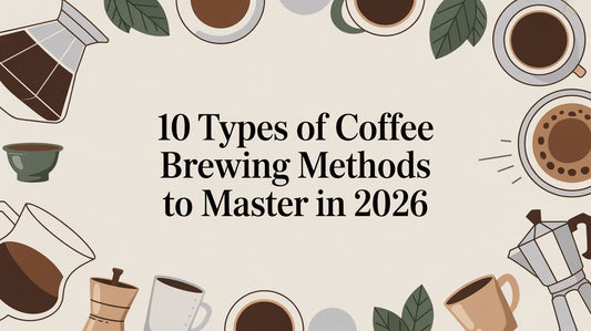 10 Types of Coffee Brewing Methods to Master in 2026