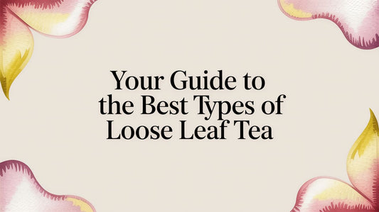 Your Guide to the Best Types of Coffee Beans