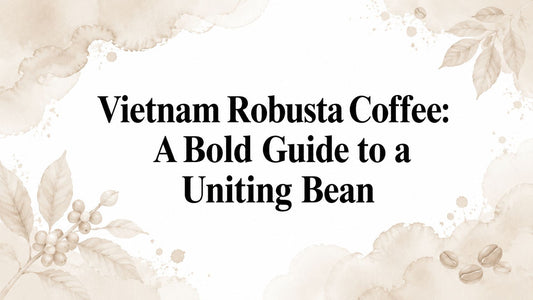 Vietnam Robusta Coffee: A Bold Guide to a Uniting Bean