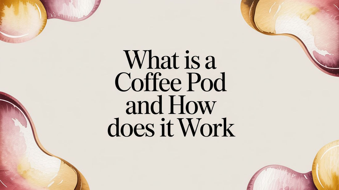 Beans Without Borders: How Coffee Unites the World