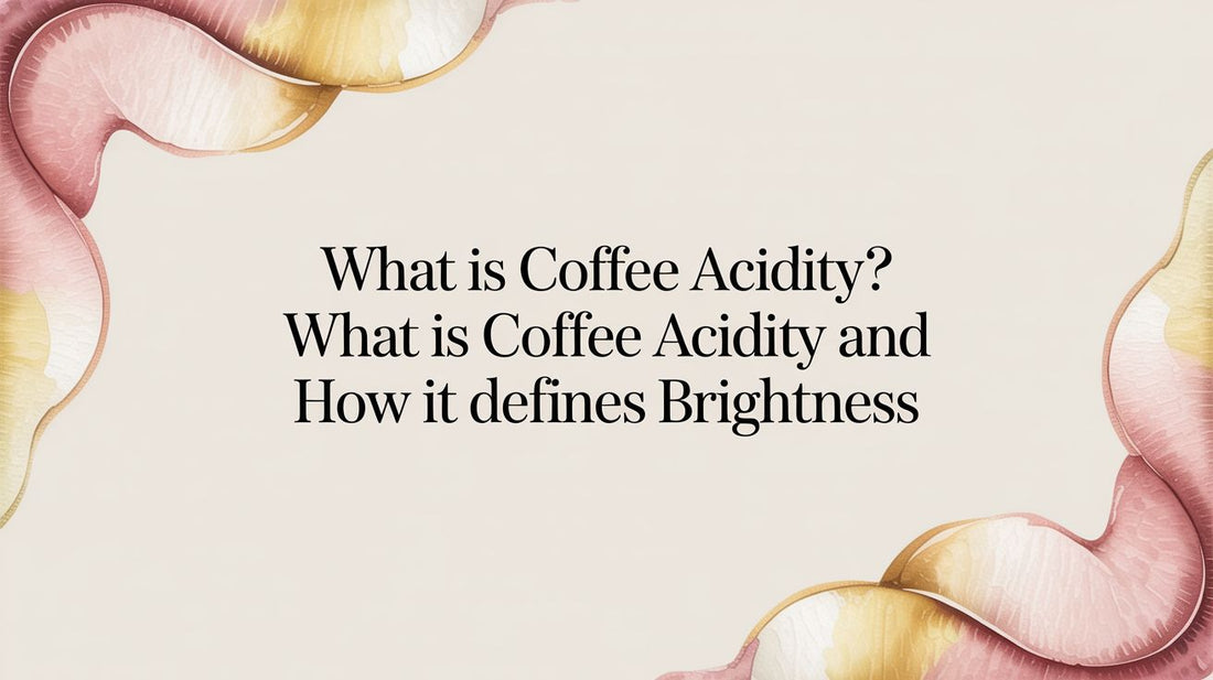 What Is Coffee Acidity? Your Guide to a World of Flavor