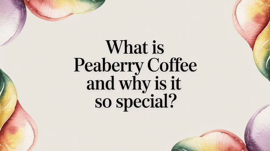 What Is Peaberry Coffee and Why Is It So Special?