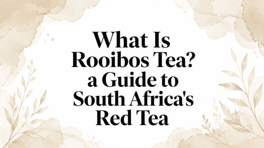 What Is Rooibos Tea? a Guide to South Africa's Red Tea