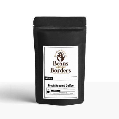Beans Without Borders Fresh Roasted Coffee in black resealable bag with origin and roast details, ideal for premium coffee lovers.